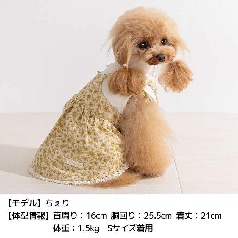 小花アンサンブルワンピ XS/S/M/L/XL/XXL Un TouTou -アントゥトゥ- 犬服 ドッグウェア UT26AW ut261261