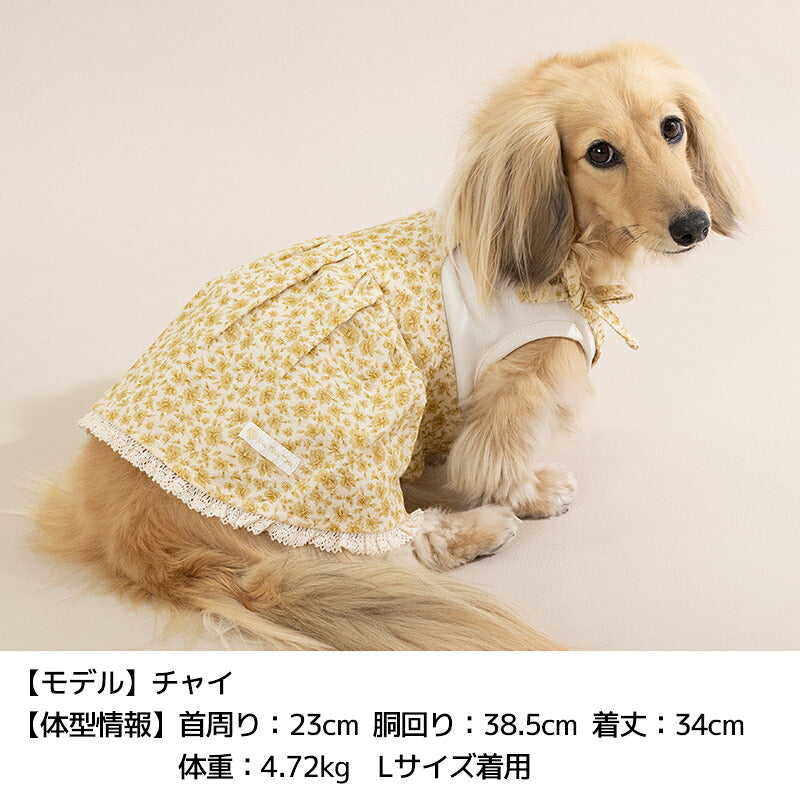 小花アンサンブルワンピ XS/S/M/L/XL/XXL Un TouTou -アントゥトゥ- 犬服 ドッグウェア UT26AW ut261261