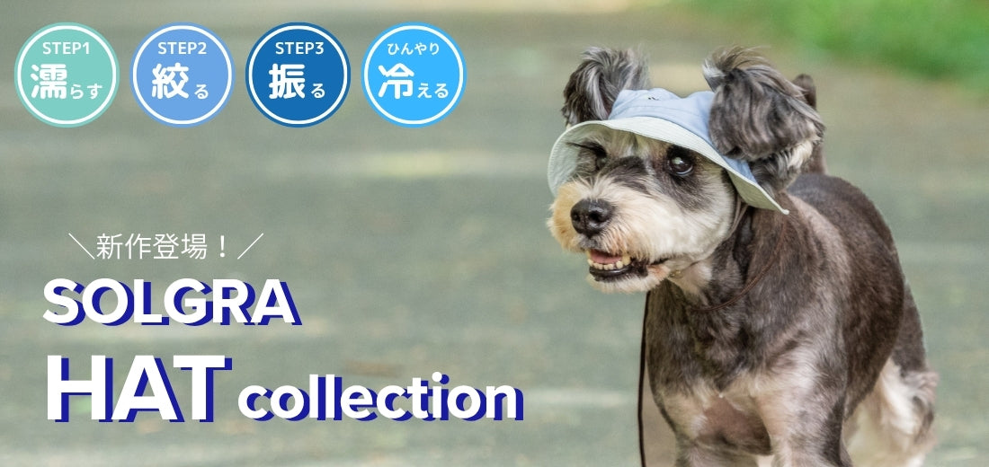 Wan-Voyage ワンボヤージュ - お洒落なドッグウェア 犬服のお店 – WAN