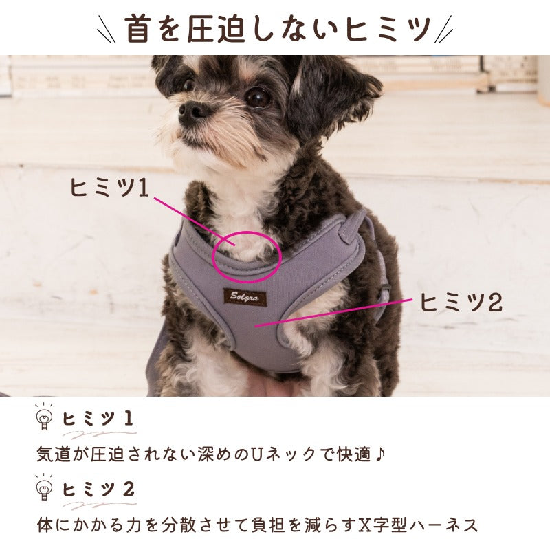 犬具（首輪・ハーネス・リード） – WAN VOYAGE（ワンボヤージュ
