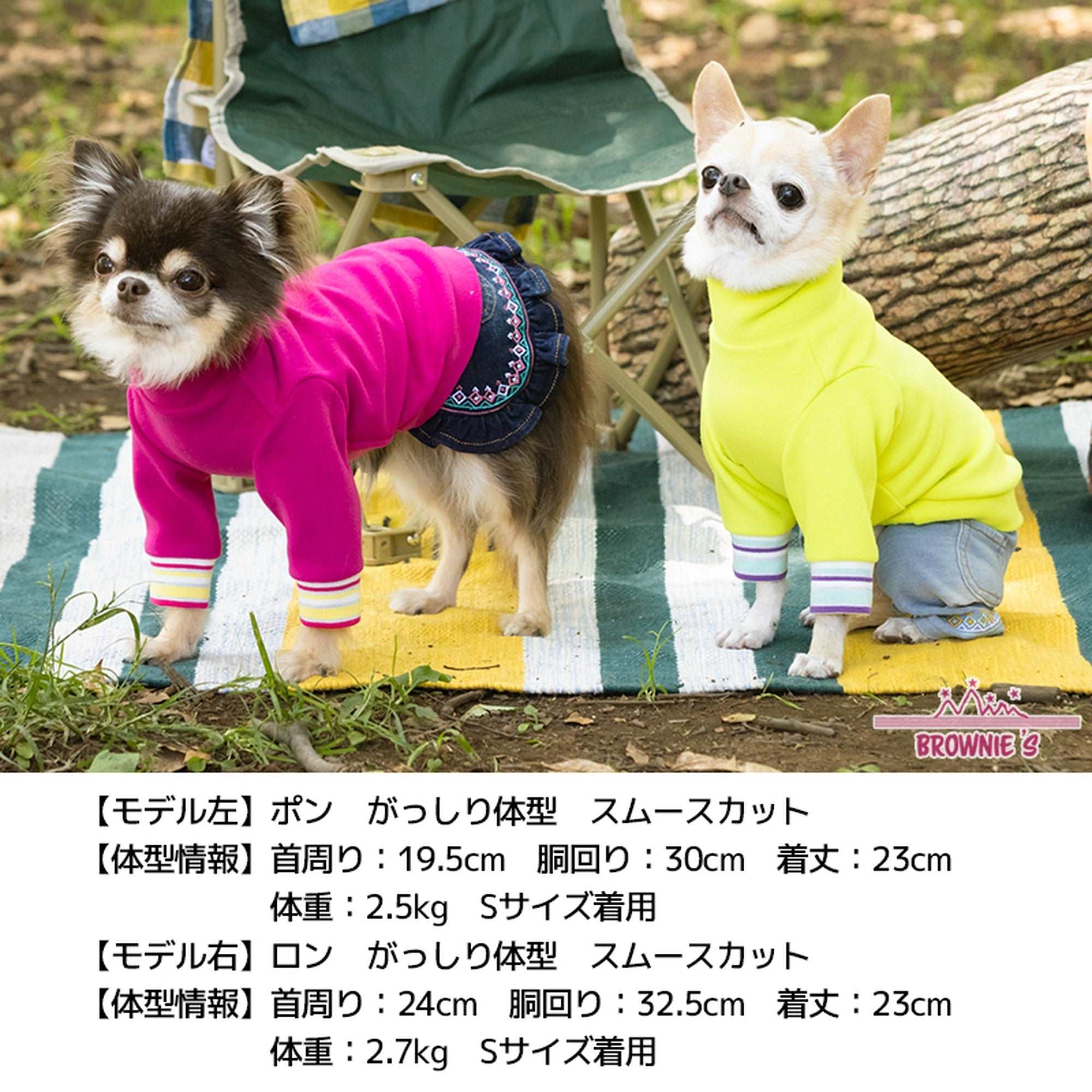 プチシュープラス 販売 犬服