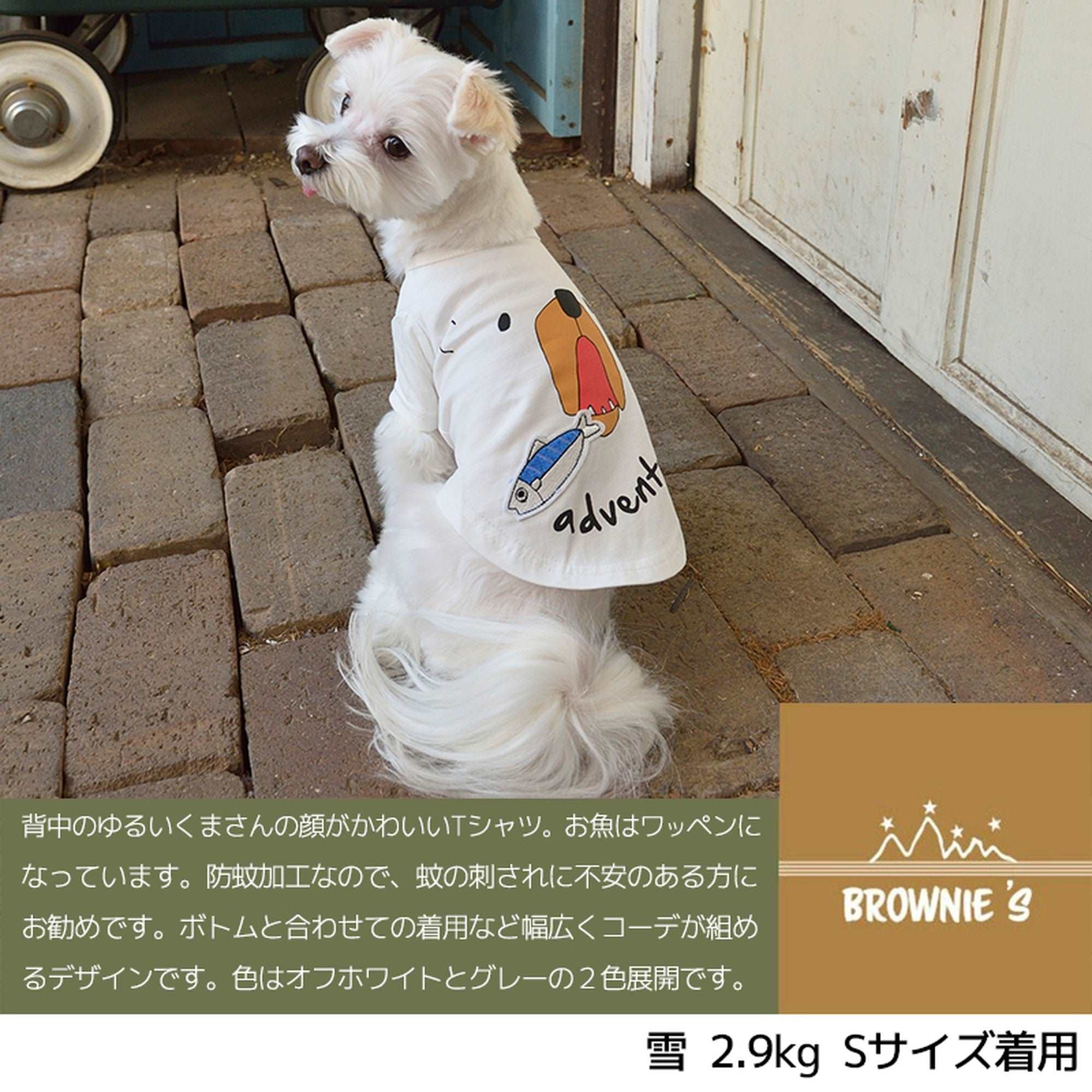 今日の超目玉 犬服！3Lsize！ワニTシャツ 犬用品