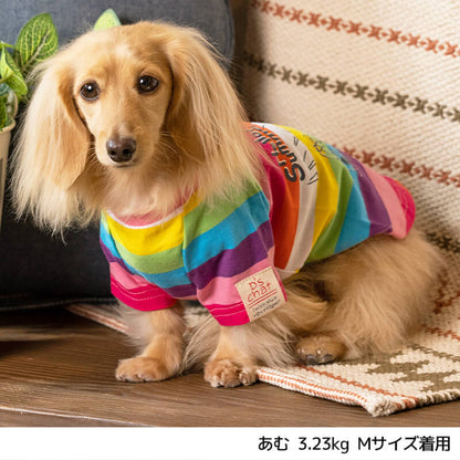 マルチボーダーTシャツ XL/XXL/DS/DM D's Chat-ディーズチャット- 犬服 ドッグウェア 小型犬 トイプードル チワワ ポメラニアン DS22SS ds161127-2