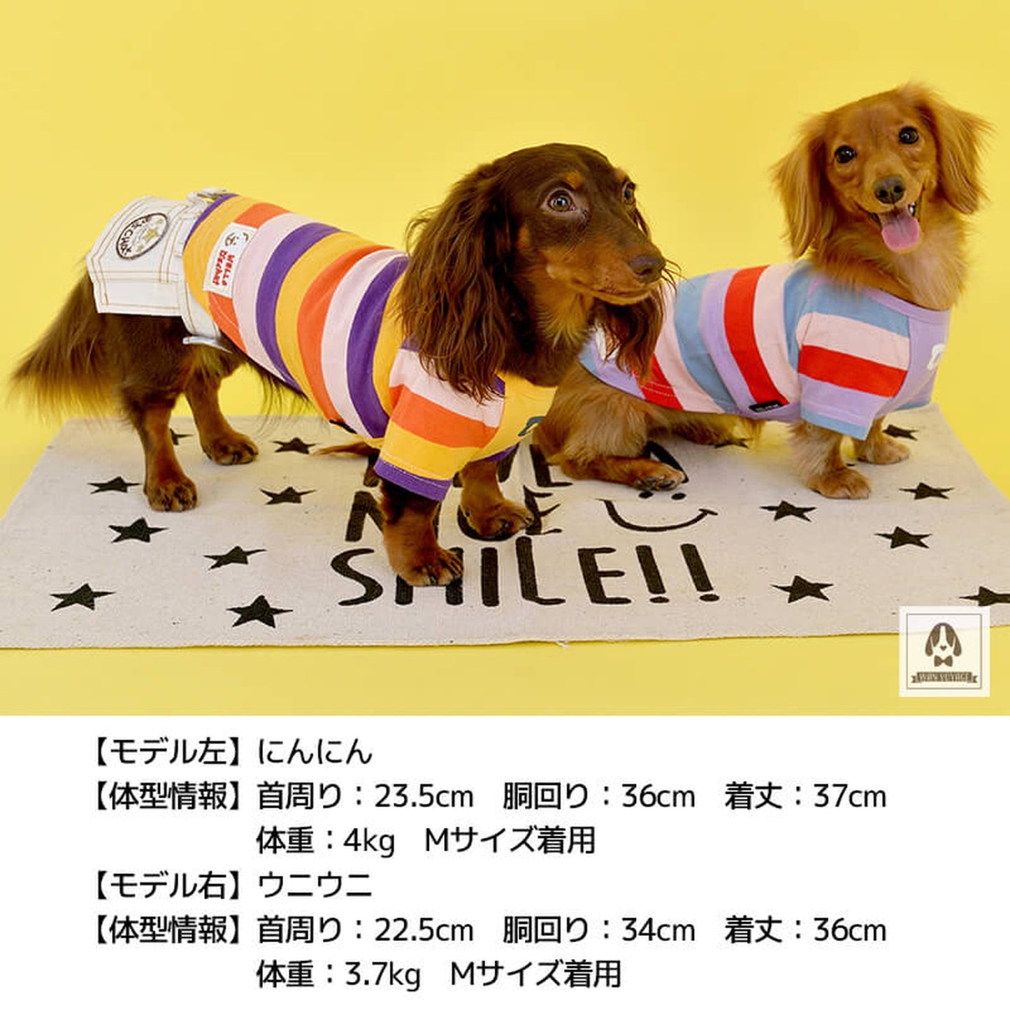マルチボーダーTシャツ XL/XXL/DS/DM D's Chat-ディーズチャット- 犬服 ドッグウェア トイプードル チワワ ポメラニアン DS21SS ds151099-2
