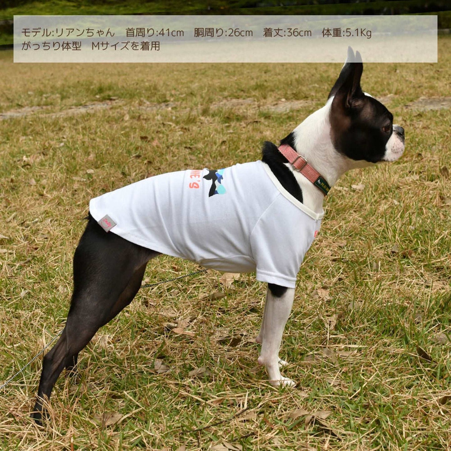 おさかなTシャツ 犬服 ドッグウェア S/M/L/XL/XXL ワンボヤージュ ブラウニーズ トイプードル チワワ ダックス br131541-1