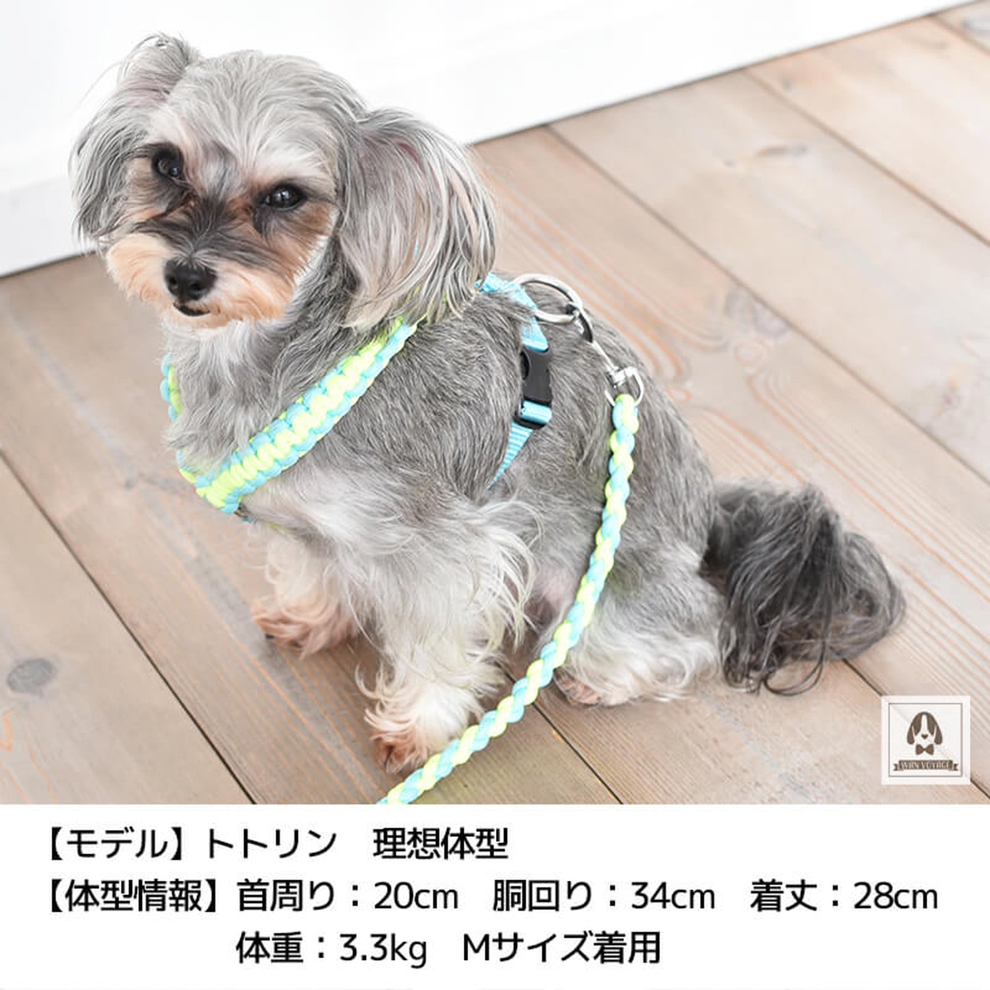 バイカラーコードハーネス S Solgra-ソルグラ- 犬用 ペット用 犬具 お散歩 トイプードル チワワ ポメラニアン so149025-1