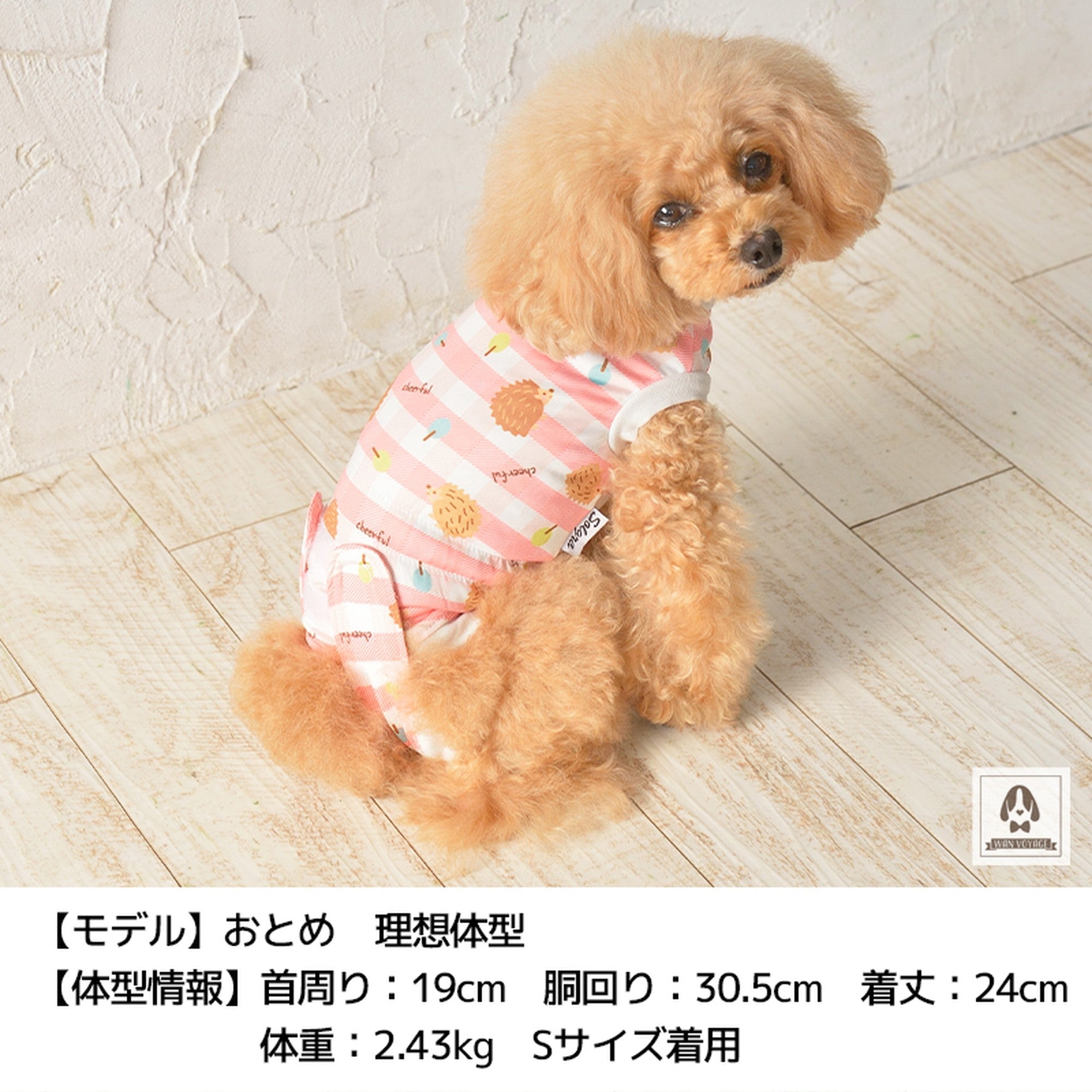 術後のケアウェア ワンちゃん用 XS/S/M/L Solgra-ソルグラ- 犬用 犬服 ドッグウェア ペット用 手術後服 皮膚保護服 トイプードル  チワワ ポメラニアン SO21AW so153120-1