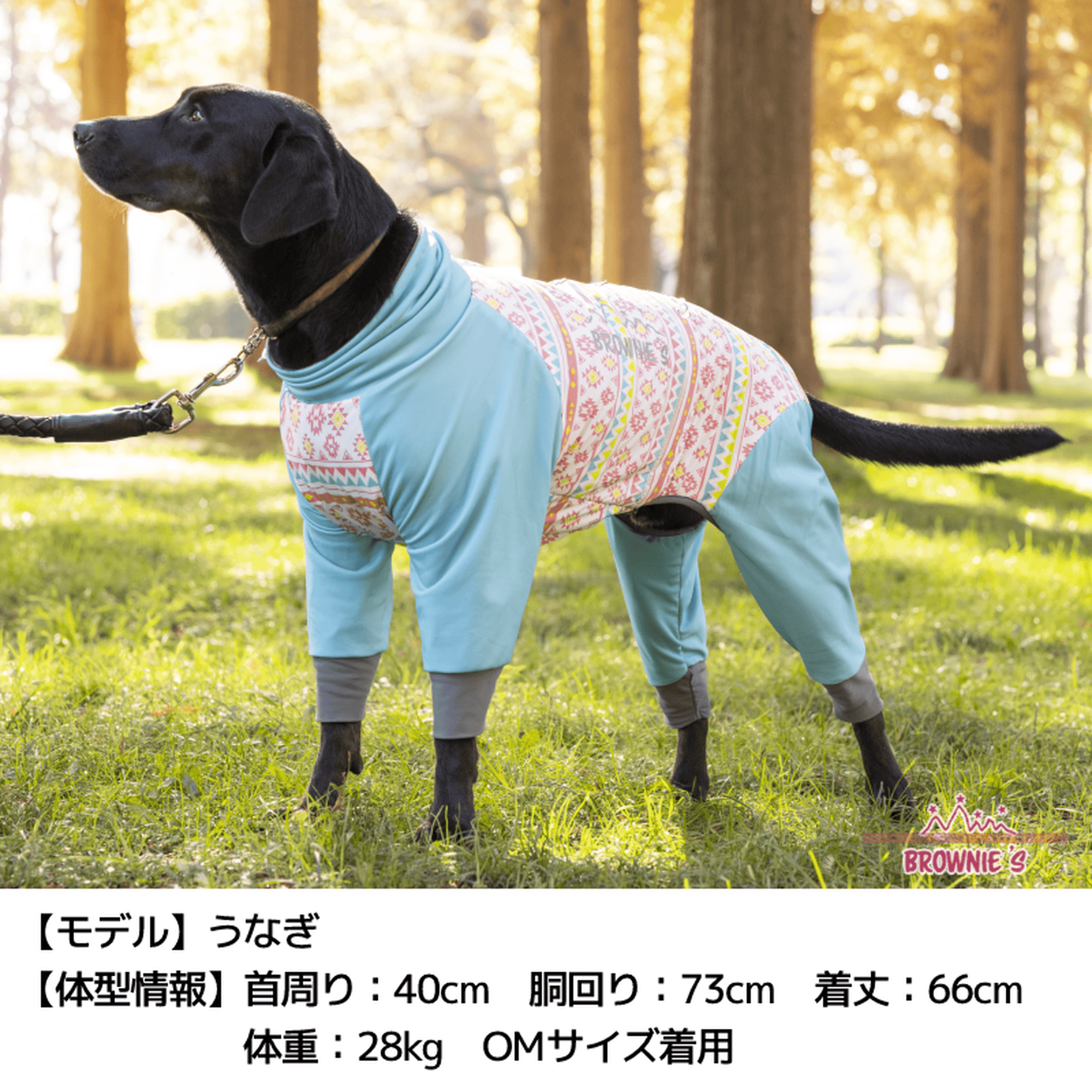 暖かさ抜群！中型犬サイズのジャケット - 犬用品