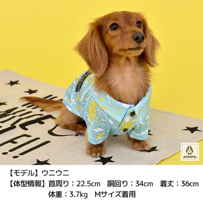 アロハメッシュシャツ XS/S/M/L D's Chat-ディーズチャット- 犬服 ドッグウェア トイプードル チワワ ポメラニアン DS21SS ds152087-1