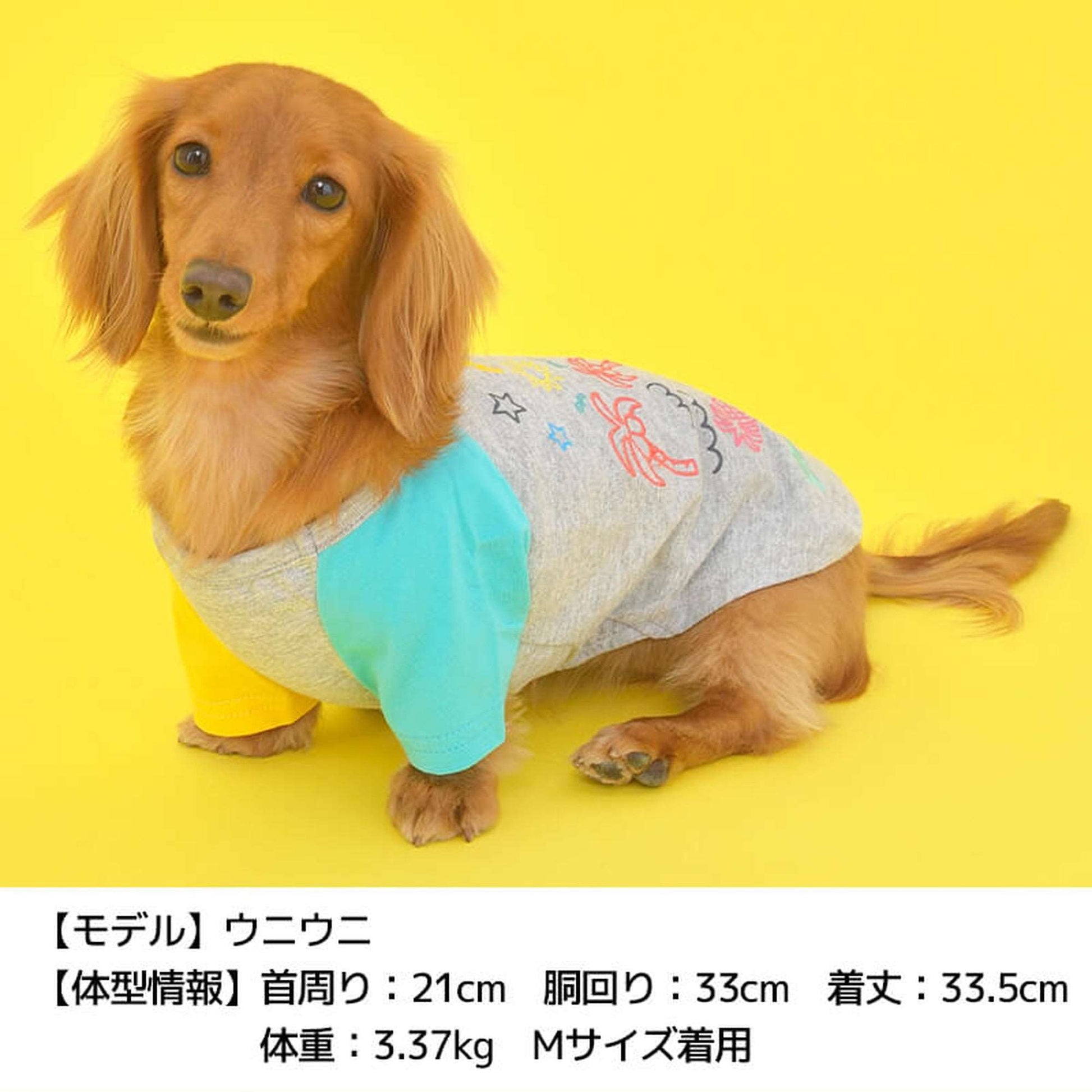 アシメポップTシャツ XL/XXL/DS/DM D's Chat-ディーズチャット- 犬服 ドッグウェア 小型犬 トイプードル チワワ ポメラニアン DS22SS ds161128-2