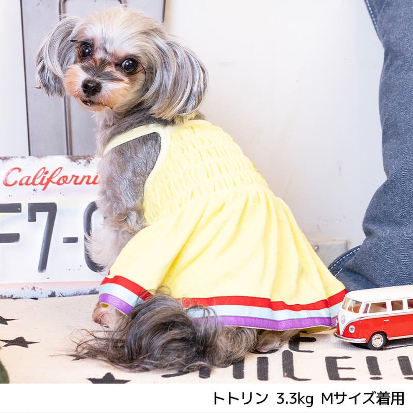 サボテンパイルキャミワンピ XL D's Chat-ディーズチャット- 犬服 ドッグウェア 小型犬 トイプードル チワワ ポメラニアン DS22SS ds164135-2