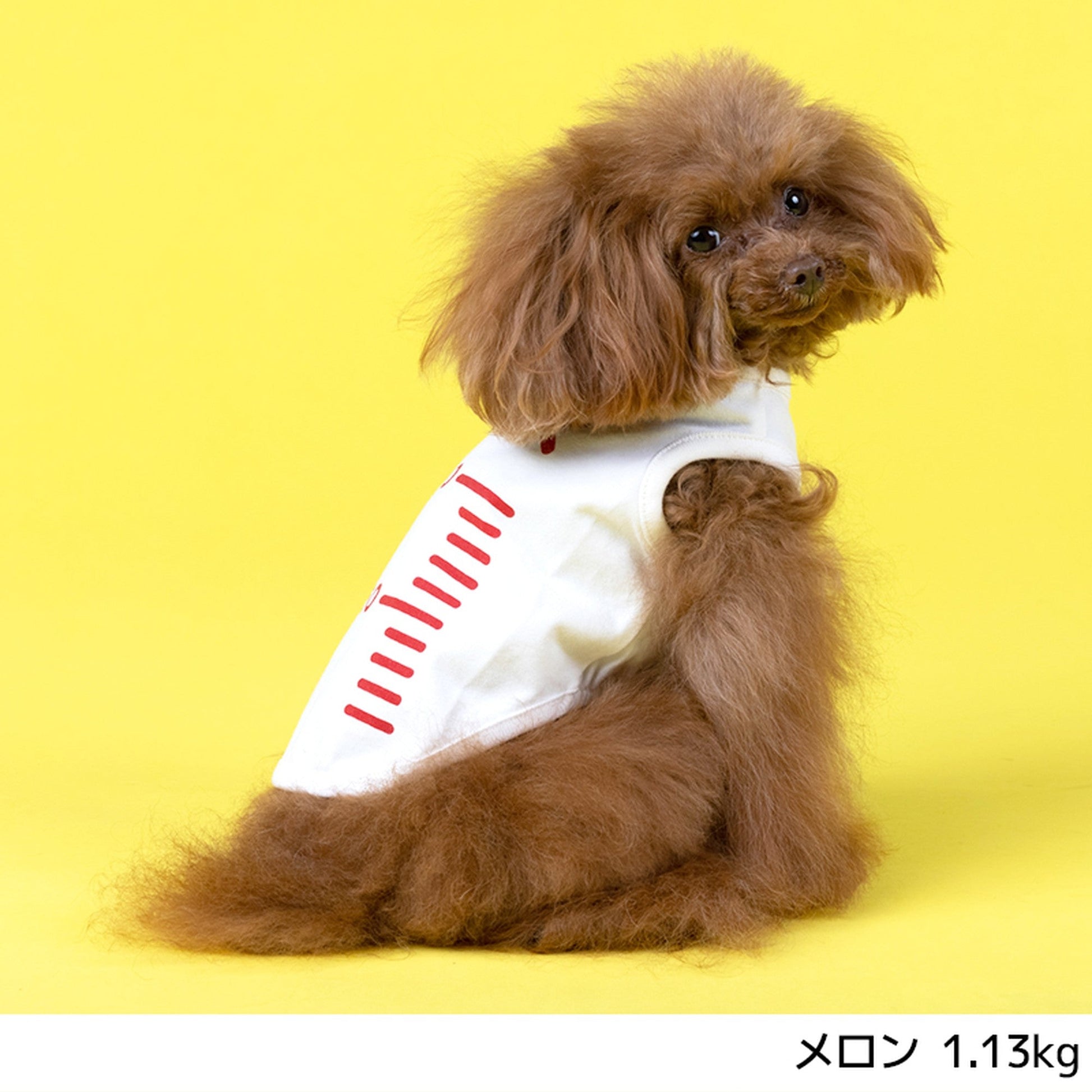 Simplers  犬服　ワンピース　オレンジ　サイズ：3S