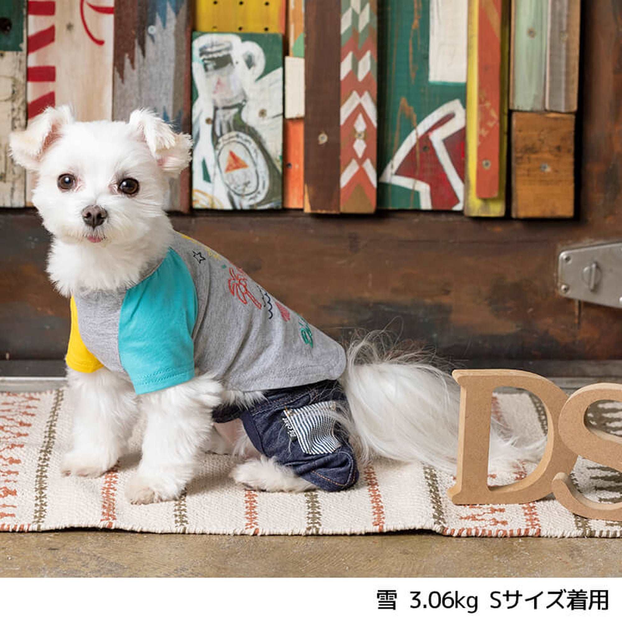 アシメポップTシャツ XL/XXL/DS/DM D's Chat-ディーズチャット- 犬服