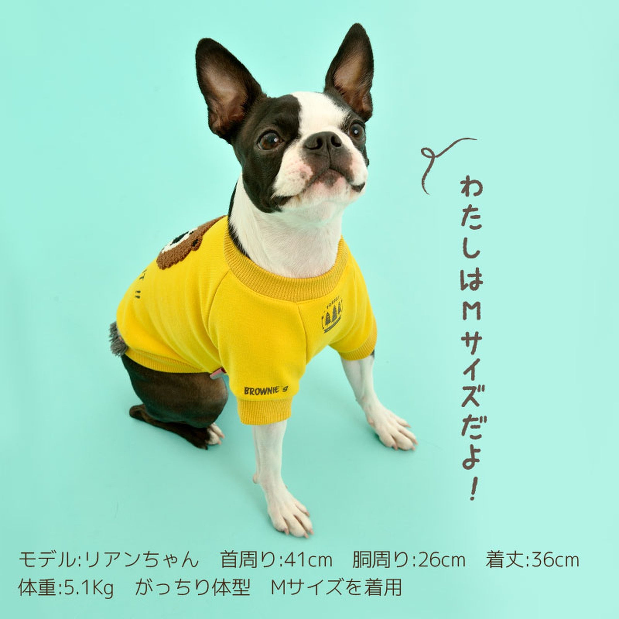 シャウトベアトレーナー 犬服 ドッグウェア S/M/L/XL/XXL ワン