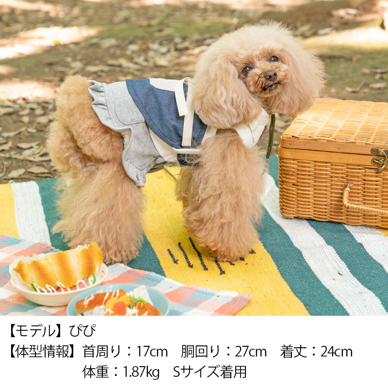 小型犬編み込みセーター☆黄色×グレー×ピンク×焦げ茶 犬セーター 犬