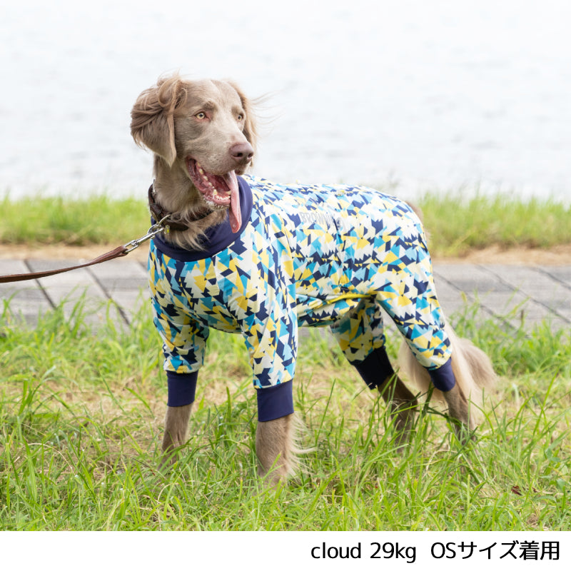 大型犬＆小型犬服 ハロウィンワンピース【専用】