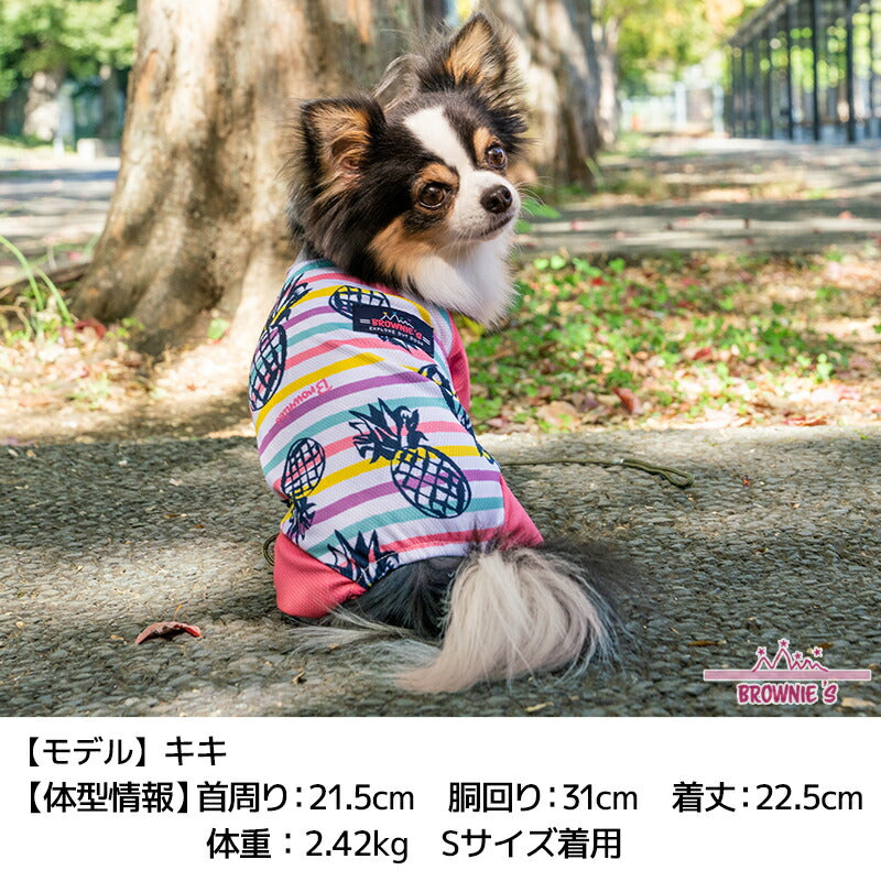 カラフルボーダーメッシュアクロン S/M/L/XL/XXL/DXS/DS/DM/FBS