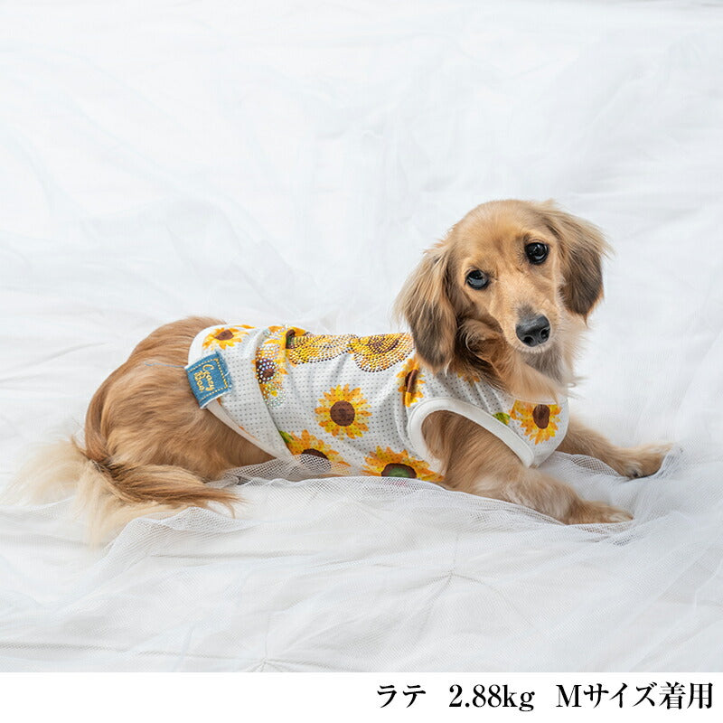 ひまわり柄メッシュタンク XS/S/M/L/XL/XXL/DXS/DS/DM CRAZYBOO -クレイジーブー- 犬服 ドッグウェア CB24SS cb241056-1