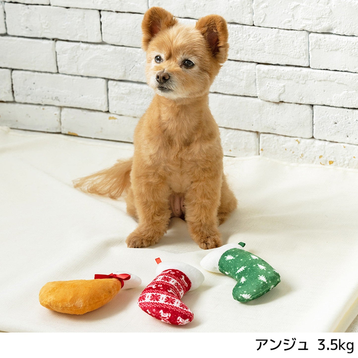 マミーのくつした Free Solgra-ソルグラ- 犬用 ペット用 おもちゃ ぬいぐるみ 玩具 トイプードル チワワ ポメラニアン SO21AW so155090-1