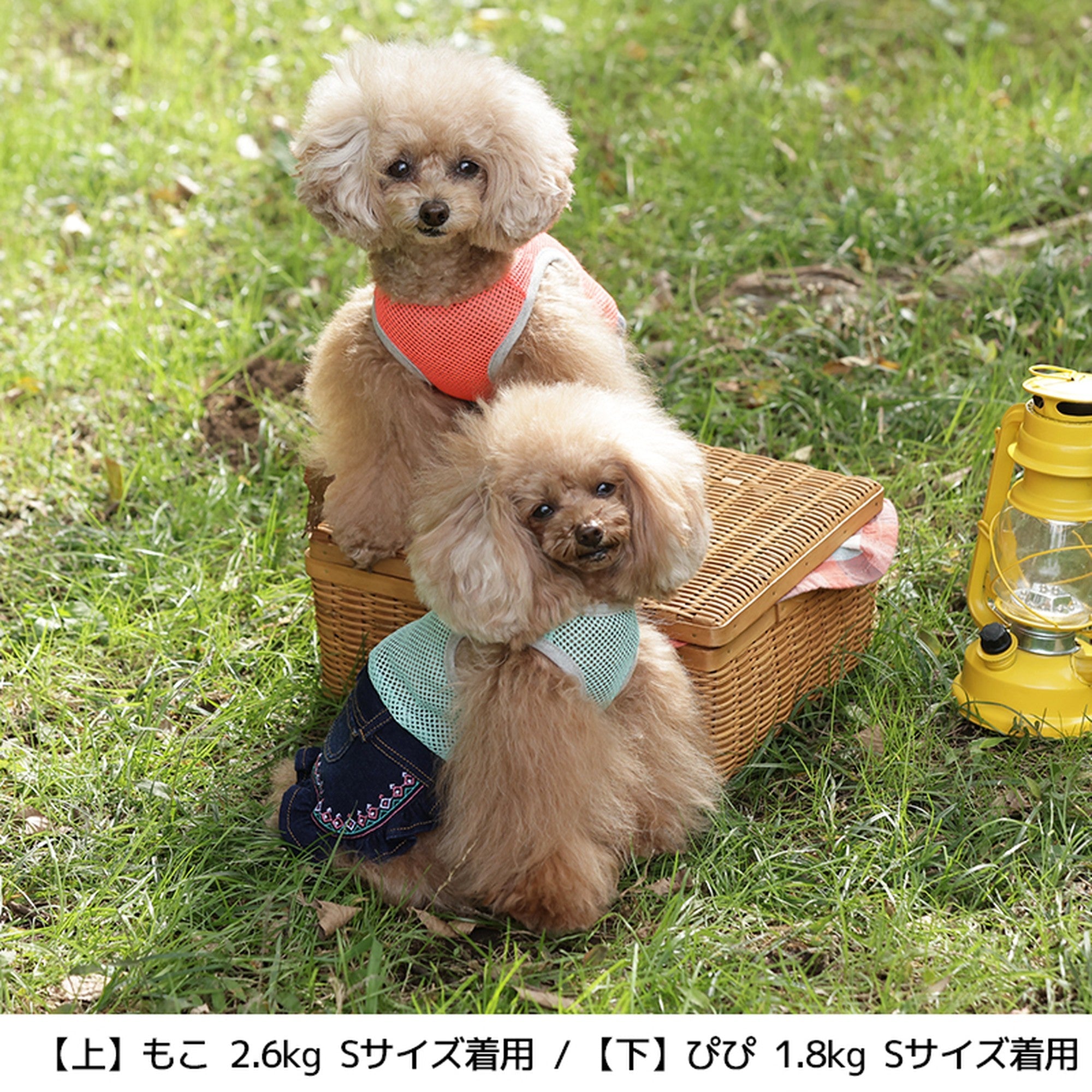 デニムネイティブロンパース・ワンピース S/M/L/2L/3L BROWNIE'S-ブラウニーズ- 犬服 ドッグウェア トイプードル チワワ  ポメラニアン br153615-1 BR21SS