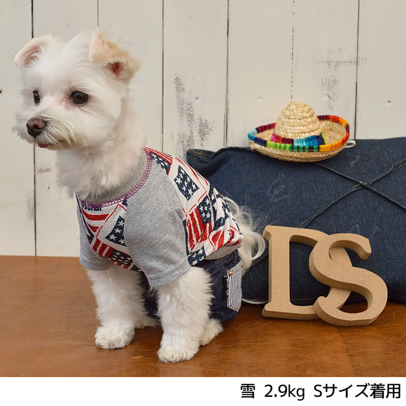 アメリカンメッシュTシャツ XS/S/M/L D's Chat-ディーズチャット- 犬服 ドッグウェア トイプードル チワワ ポメラニアン