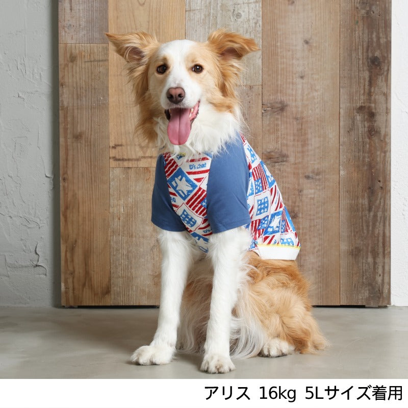 アメリカンメッシュTシャツ 4L/5L/6L D's Chat-ディーズチャット- 犬服 ドッグウェア トイプードル チワワ ポメラニアン