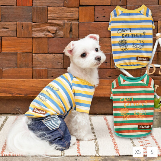 マルチカラーTシャツ XS/S D's Chat-ディーズチャット- 犬服 ドッグウェア 小型犬 トイプードル チワワ ポメラニアン DS23SS ds231168-1