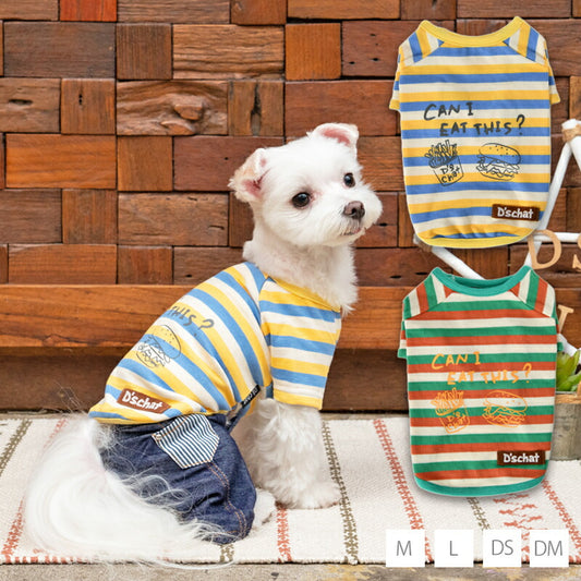マルチカラーTシャツ M/L/DS/DM D's Chat-ディーズチャット- 犬服 ドッグウェア 小型犬 トイプードル チワワ ポメラニアン ダックス DS23SS ds231168-2