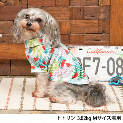 アロハ柄背開きシャツ XS/S D's Chat-ディーズチャット- 犬服 ドッグウェア 小型犬 トイプードル チワワ ポメラニアン DS23SS ds231170-1
