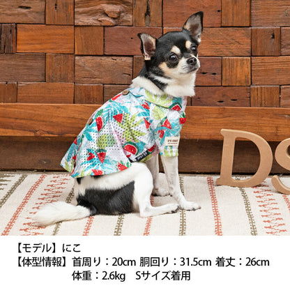 アロハ柄背開きシャツ XS/S D's Chat-ディーズチャット- 犬服 ドッグウェア 小型犬 トイプードル チワワ ポメラニアン DS23SS ds231170-1