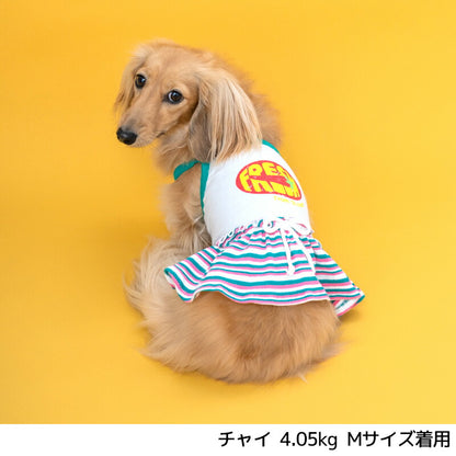 リブスカートキャミワンピ XS/S/M/L/XL D's Chat-ディーズチャット- 犬服 小型犬 ドッグウェア DS24SS ds241217-1