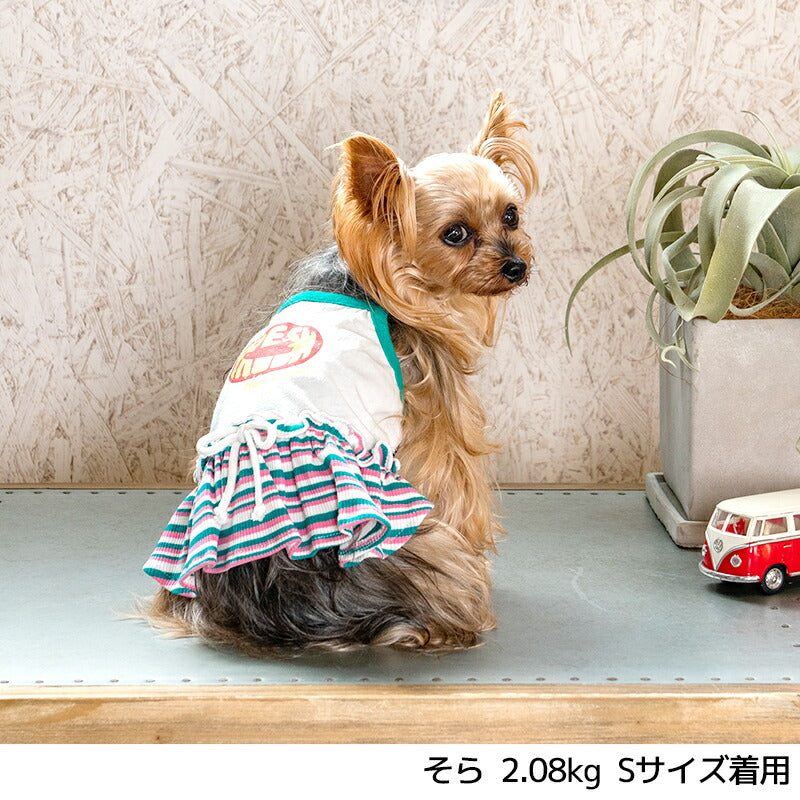 リブスカートキャミワンピ XS/S/M/L/XL D's Chat-ディーズチャット- 犬服 小型犬 ドッグウェア DS24SS ds241217-1
