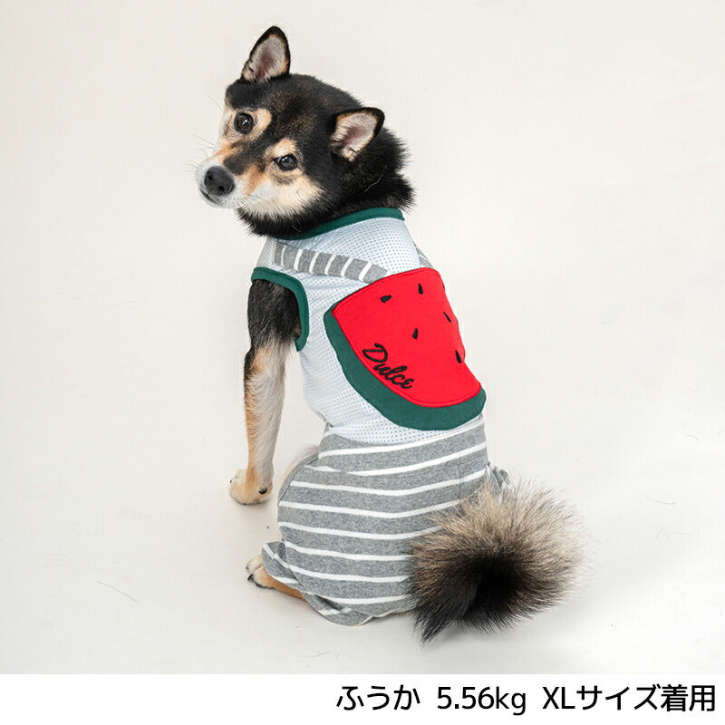 スイカアップリケつなぎ S/M/L/XL Dulce-ドゥルチェ- 犬服 ドッグウェア DU24SS du241130-1 –  Wan-Voyage（ワンボヤージュ）- お洒落なドッグウェア 犬服のお店