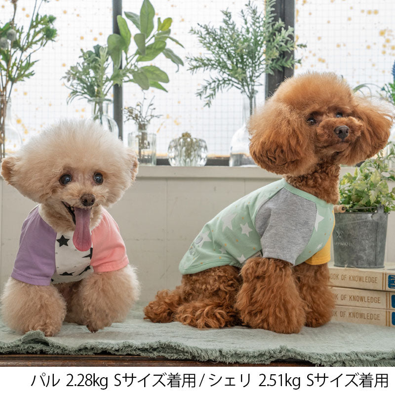 犬服 3S わんこの普段着 ジェシカ - 犬用品