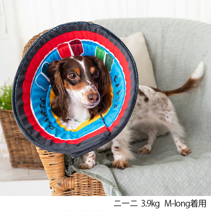 ダーツ柄　ペリーブカラー M Solgra-ソルグラ- 犬用 エリザベスカラー代わり トイプードル チワワ ポメラニアン SO23SS so233209-2