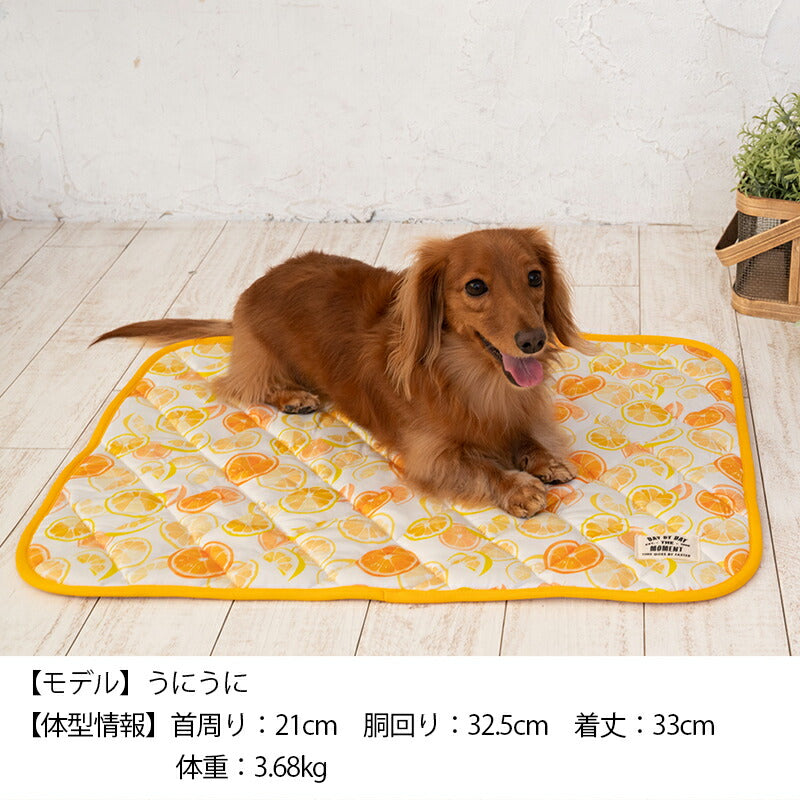 オレンジクールマット F Solgra-ソルグラ- 犬用 クールベッド トイプードル チワワ ポメラニアン SO23SS so237219-1