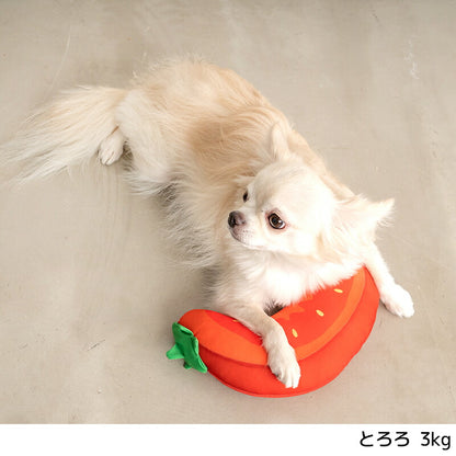 クールピロー〈お野菜シリーズ〉 Free Solgra-ソルグラ- 犬用枕 SO24SS so247263-1