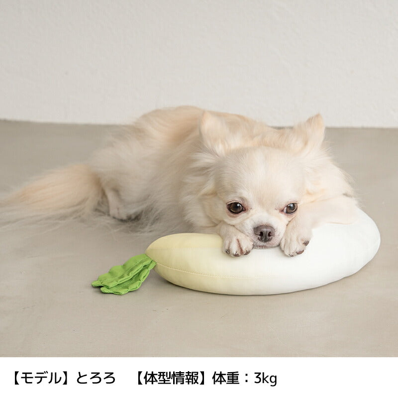 クールピロー〈お野菜シリーズ〉 Free Solgra-ソルグラ- 犬用枕 SO24SS so247263-1