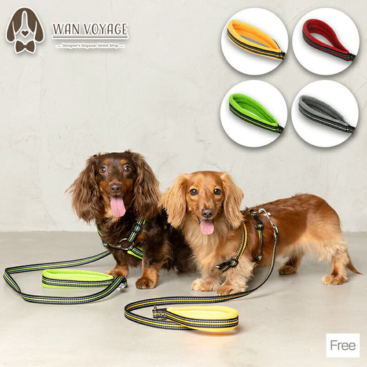 スポーティーリード F Solgra-ソルグラ- 小型犬用 リード SO23AW so235294-1