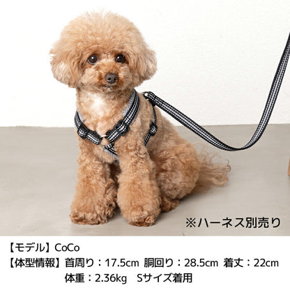 スポーティーリード F Solgra-ソルグラ- 小型犬用 リード SO23AW so235294-1