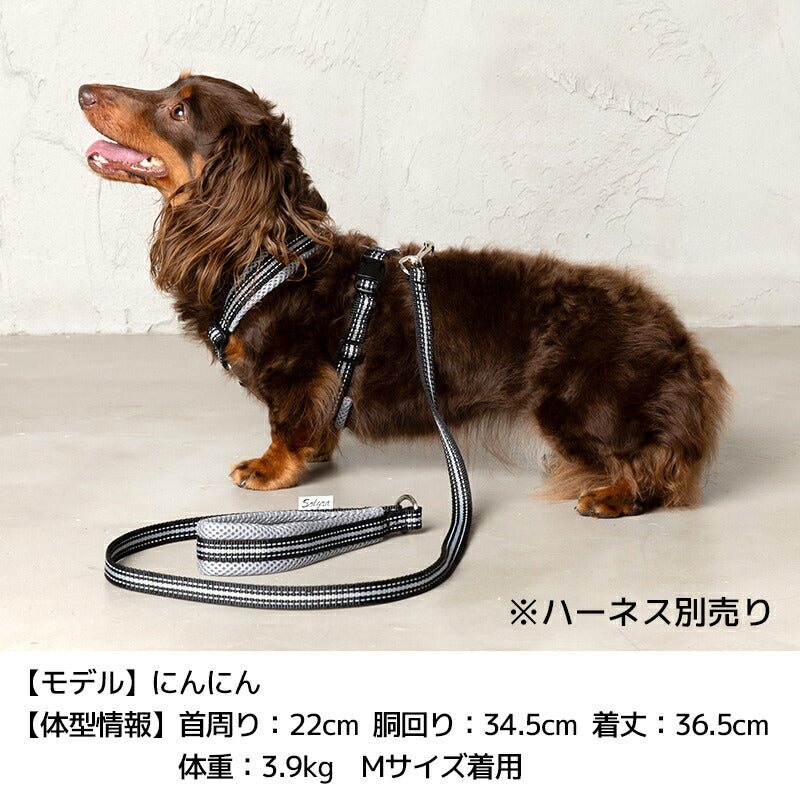 スポーティーリード F Solgra-ソルグラ- 小型犬用 リード SO23AW