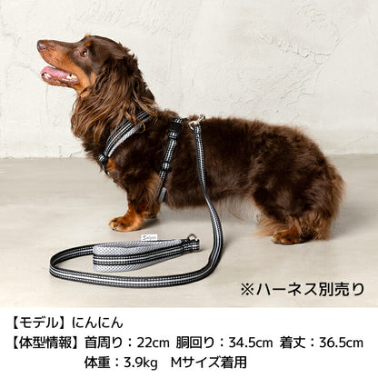 スポーティーリード F Solgra-ソルグラ- 小型犬用 リード SO23AW so235294-1