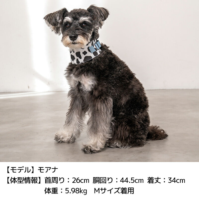 クールネック S/M Solgra-ソルグラ- 犬用 SO24SS so242356-1