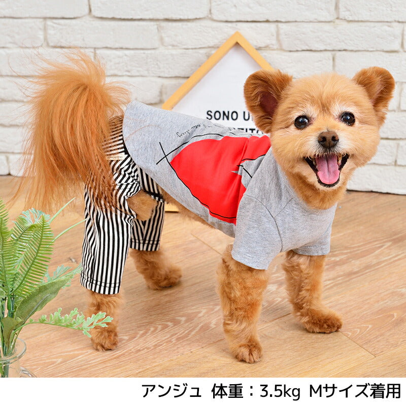 ストライプパンツ S TINOTITO -ティノティート- 犬服 ドッグウェア トイプードル チワワ ポメラニアン TTボトムス tt103014-1