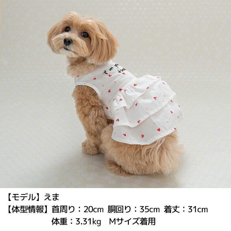 ハートプリントワンピ XS/S/M/L/XL/XXL TINOTITO -ティノティート- 犬服 ドッグウェア TT24SS tt241344-1